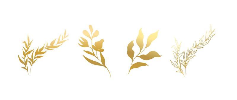 Gold Leaf Vector Art, Icons, and Graphics for Free Download