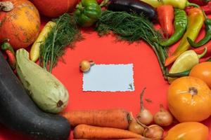 Vegetables are laid out around a sheet of paper and a pencil. Empty space for text. Vegetables, empty blank for recipe on a red background. photo