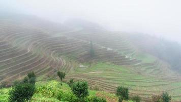 view of rice terraced fields in haze photo