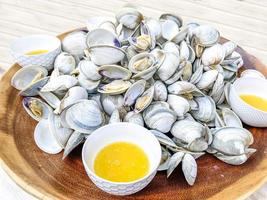 Pile of clams by the beach for eating photo