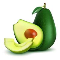 Realistic detailed avocado illustration, isolated on white background with halves, sliced and whole avocado. Vector, 3d illustration vector