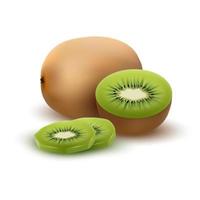 Whole kiwi fruit and sliced segments isolated on white background. Realistic vector illustration