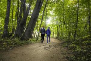 Two hikers walking on a trail through the woods photo