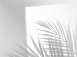 Palm leaves shadow background overlay, leaf shade vector