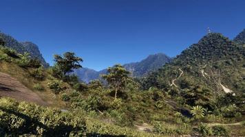 rica zona forestal natural, arroyos, cielo, montañas y varias plantas 3d renderizado foto