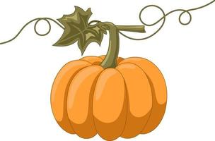 Cute orange pumpkin vector illustration
