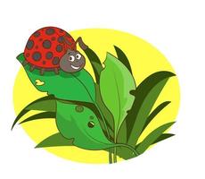 cartoon illustration of ladybug on leaf. vector