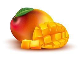 Vector ripe yellow, orange, red whole and sliced mango cubes with leaf isolated on white background