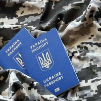 Ukrainian foreign passport on fabric with texture of military pixeled camouflage. Cloth with camo pattern in grey, brown and green pixel shapes and Ukrainian ID photo