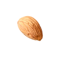 single of almond nut png