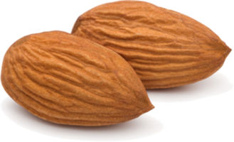 two almond nuts png