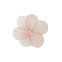 Watercolor vintage pink flower png