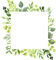 Greenery summer frame with green leaves and branches. Hand drawing botanical illustration. Floral Design elements. Perfect for wedding invitations, greeting cards, prints, packing, posters and more png