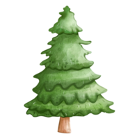 Christmas Tree Clipart, Watercolor illustration png