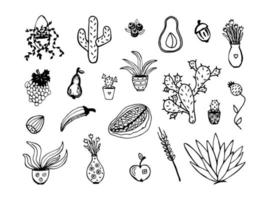 Different types of plants, doodle set vector