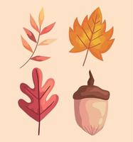 autumn leafs and branch with nut icons vector