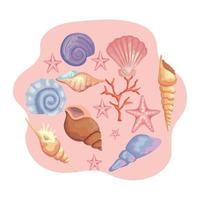 bundle of sea shells colors set icons vector