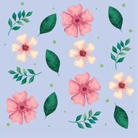 beautiful flowers white and pink with leafs pattern vector