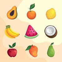 nine tropical fruits vector