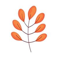 branch with orange leafs vector