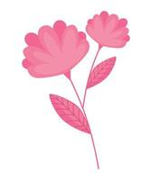 flowers garden pink color vector