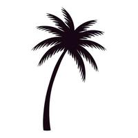 tropical tree palm vector