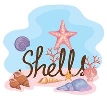 eight sea shells colors set scene and lettering vector