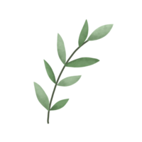 branches de feuilles vertes aquarelles ou illustration florale pour papeterie de mariage, salutations, ornement de fond png