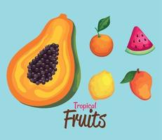 five fruits lettering vector