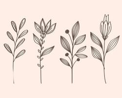 bundle of branches leafs plants hand drawn style icon vector