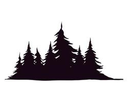 pines trees forest vector