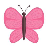 pink butterfly animal vector