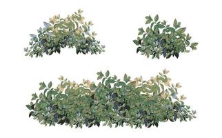 Set of ornamental green plant in the form of a hedge.Realistic garden shrub, seasonal bush, boxwood, tree crown bush foliage. vector