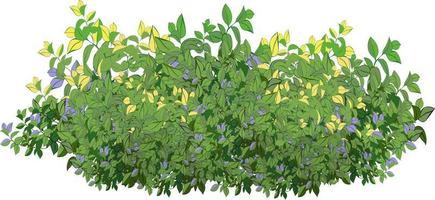 Set of ornamental green plant in the form of a hedge.Realistic garden shrub, seasonal bush, boxwood, tree crown bush foliage. vector