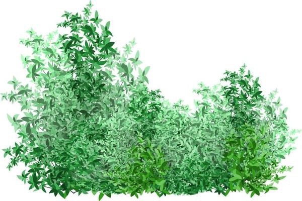 Set of ornamental green plant in the form of a hedge.Realistic garden shrub, seasonal bush, boxwood, tree crown bush foliage.