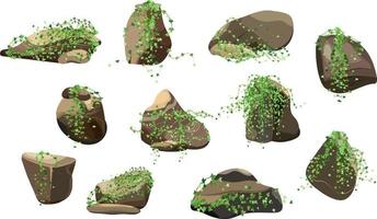 colección de piedras y plantas de diversas formas. guijarros costeros, adoquines, grava, minerales y formaciones geológicas. fragmentos de roca, cantos rodados y material de construcción. vector