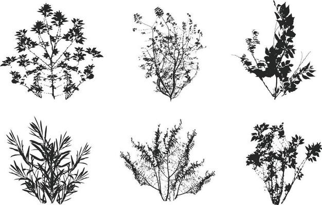 Set of ornamental black plant in the form of a hedge.Realistic garden shrub, seasonal bush, boxwood, tree crown bush foliage.