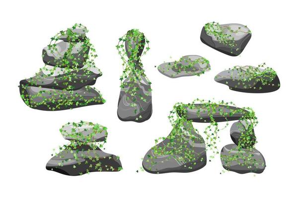 Collection of stones and plants of various shapes.Coastal pebbles,cobblestones,gravel,minerals and geological formations.Rock fragments,boulders and building material.