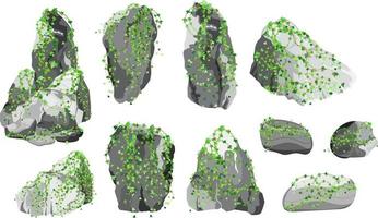 colección de piedras y plantas de diversas formas. guijarros costeros, adoquines, grava, minerales y formaciones geológicas. fragmentos de roca, cantos rodados y material de construcción. vector