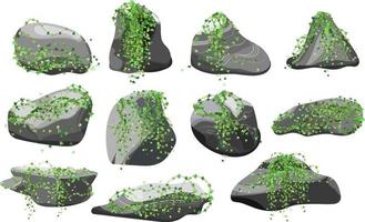 colección de piedras y plantas de diversas formas. guijarros costeros, adoquines, grava, minerales y formaciones geológicas. fragmentos de roca, cantos rodados y material de construcción. vector