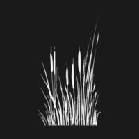 Image of a green reed or bulrush on a white background.Isolated vector drawing.