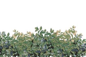 Set of ornamental green plant in the form of a hedge.Realistic garden shrub, seasonal bush, boxwood, tree crown bush foliage. vector