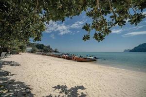 View long tail boat docking at harbor on Ton Sai Bay, Phi Phi Islands, Andaman Sea, Thailand. photo