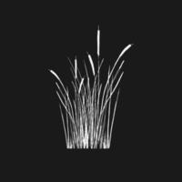 Image of a green reed or bulrush on a white background.Isolated vector drawing.