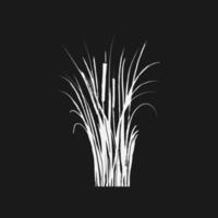 Image of a green reed or bulrush on a white background.Isolated vector drawing.