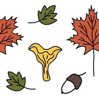 Cute autumn mushroom leaf pattern. Doodle colorful mushrooms and leaves autumn background. Endless, seamless pattern. Hand drawn cozy vector illustration.