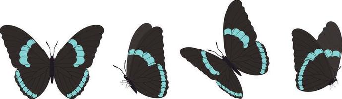 conjunto vectorial de hermosas mariposas coloridas sobre un fondo blanco vector