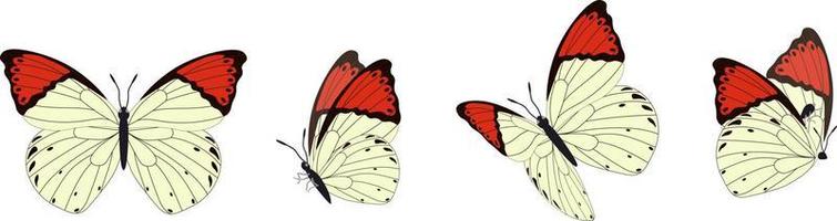 Vector set of beautiful colorful butterflies on a white background