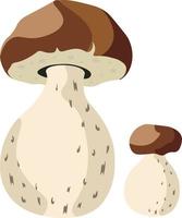 Autumn Mushrooms isolated Vector illustration on white background