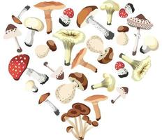 Autumn Mushrooms Compositions isolated Vector illustration on white background